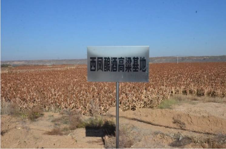 西鳳酒：展現(xiàn)傳統(tǒng)釀造技藝<strong></p>
<p>西鳳酒
</strong>，卓越品質(zhì)續(xù)寫華章:西鳳酒
