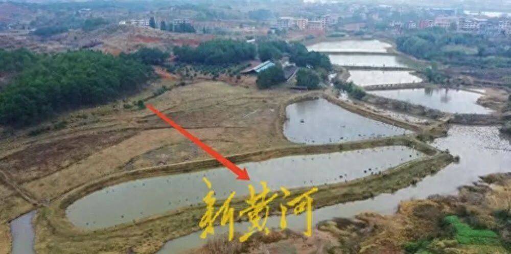 65歲農(nóng)婦荒塘養(yǎng)魚被判“非法占用農(nóng)地”：羈押10月后免刑，仍喊“我沒罪”:西鳳酒
