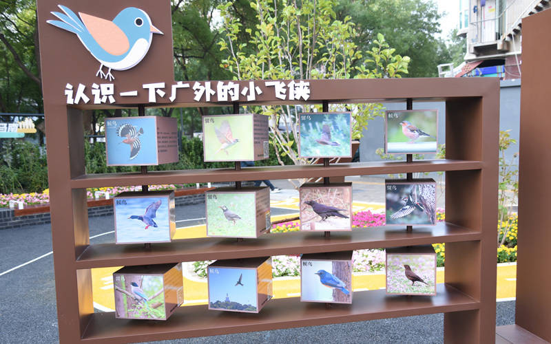 西城區(qū)廣外街道：“斷頭路”變身口袋公園<strong></p>
<p>西鳳酒
</strong>，裝滿民生“微幸?！?西鳳酒
