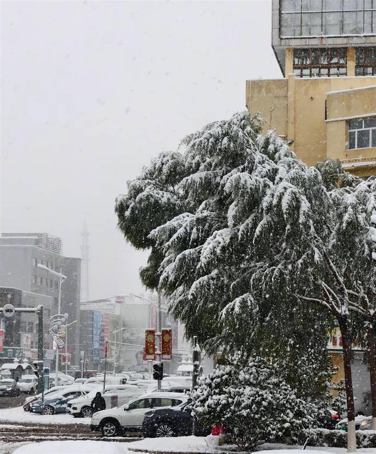 北方多地迎來第一場雪<strong></p>
<p>西鳳酒
</strong>，黑龍江局地已出現(xiàn)暴雪，積雪深5厘米，氣象專家稱今年初雪略提前:西鳳酒
