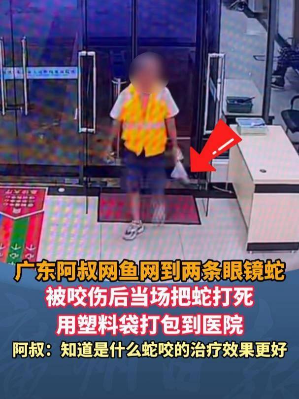 廣東62歲阿叔網(wǎng)魚(yú)網(wǎng)到2條眼鏡蛇<strong></p>
<p>西鳳酒
</strong>，被咬傷后當(dāng)場(chǎng)打死，并打包提進(jìn)醫(yī)院:西鳳酒
