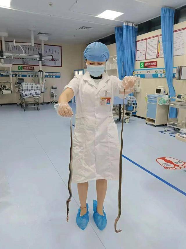 廣東62歲阿叔網(wǎng)魚(yú)網(wǎng)到2條眼鏡蛇<strong></p>
<p>西鳳酒
</strong>，被咬傷后當(dāng)場(chǎng)打死，并打包提進(jìn)醫(yī)院:西鳳酒
