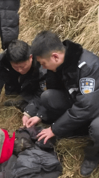 遼寧4歲女童稱睡醒后自行下車<strong></p>
<p>西鳳酒
</strong>，迷路后睡在草地，期間無人接觸；其母發(fā)聲:西鳳酒
